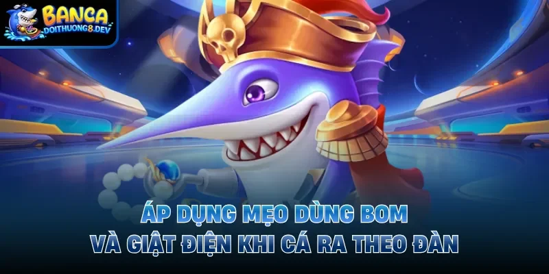 Áp dụng mẹo dùng bom và giật điện khi cá ra theo đàn