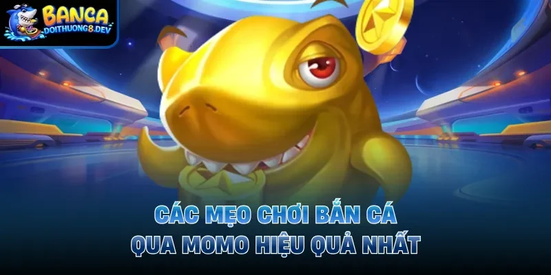 Các mẹo chơi bắn cá qua Momo hiệu quả nhất