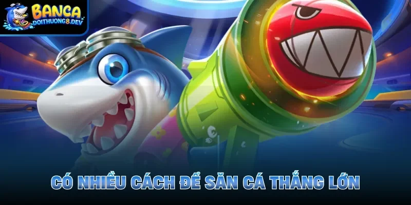Có nhiều cách để săn cá thắng lớn
