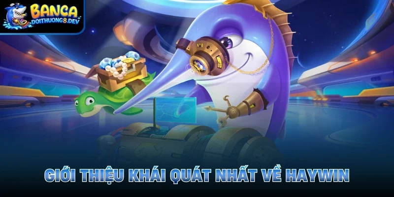 Giới thiệu khái quát nhất về Haywin