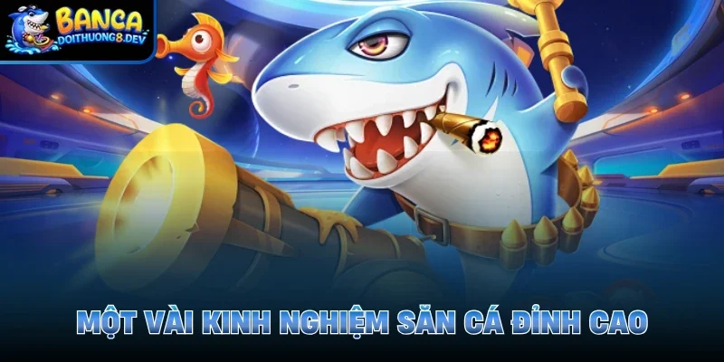 Một vài kinh nghiệm săn cá đỉnh cao