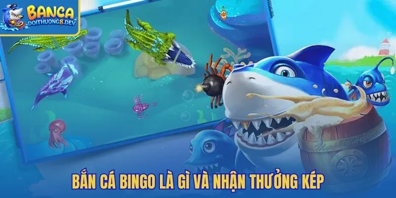 Mẹo chơi bắn cá Bingo với nhịp kín thẻ thưởng kép