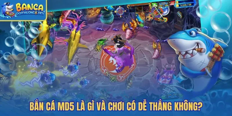 Bắn cá MD5 với MD5 đối chiếu log còn RNG sinh ngẫu nhiên
