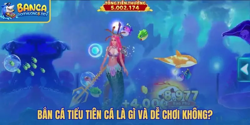 Bắn cá Tiểu Tiên Cá nhịp nhẹ giao diện thân thiện cho người mới