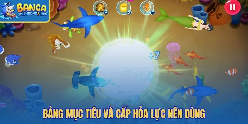 Bảng tra cấp đạn nhanh cho từng nhóm cá quen