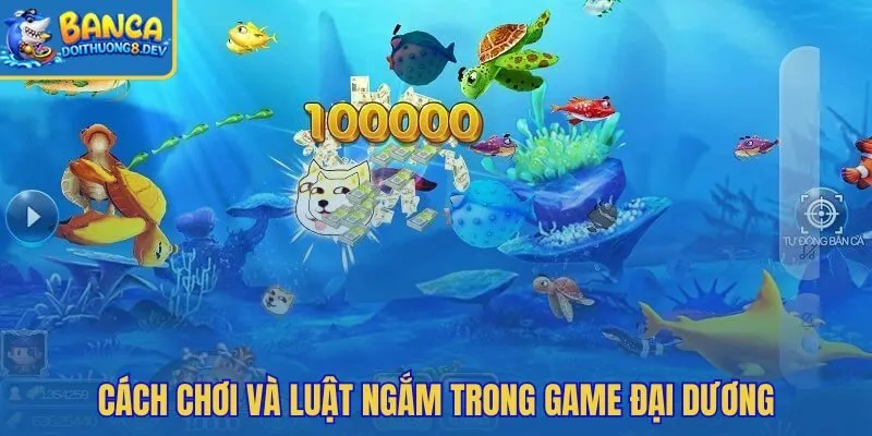 Góc súng ổn định và đường bơi rõ để đỡ hụt đạn