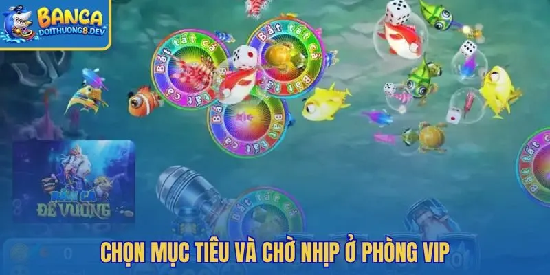 Ưu tiên quan sát bàn VIP trước khi đuổi trùm tốn xu