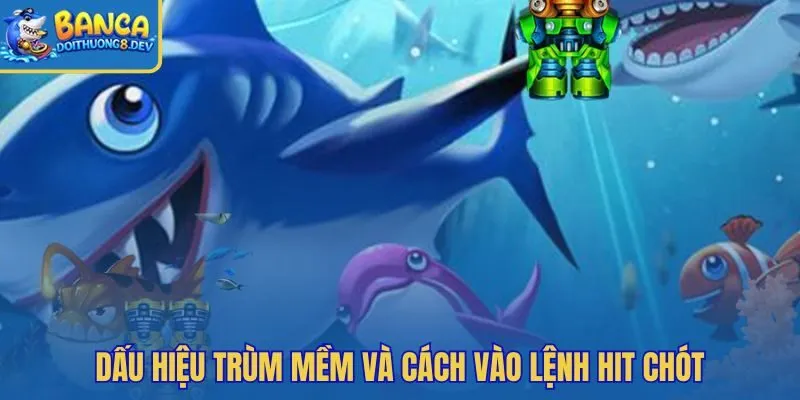 Trùm đã mềm cùng nhịp đóng băng cho hit chót