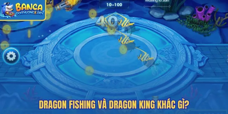 Dragon fishing và dragon king khác gì