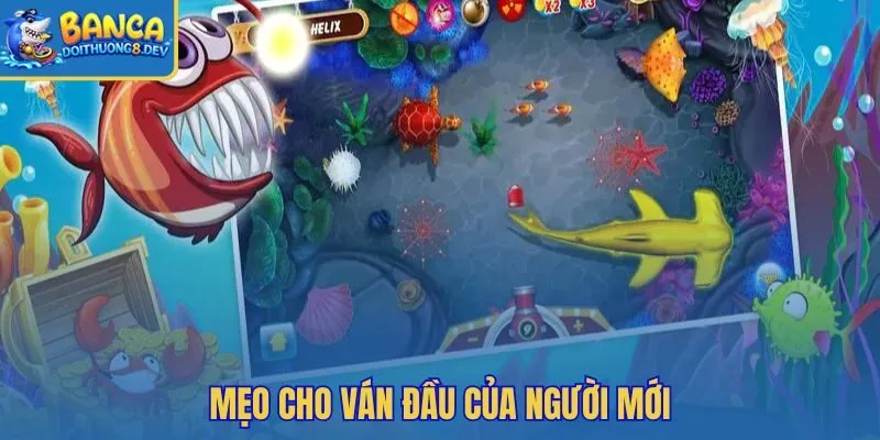 Nhịp bắn chậm và đàn cá gần cho ván mở màn