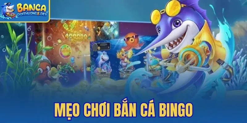 Mẹo Chơi Bắn Cá Bingo – Bí Kíp Săn Xu Từ Cao Thủ