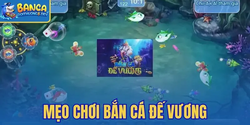 Mẹo Chơi Bắn Cá Đế Vương – Chờ Mềm Boss Phòng VIP