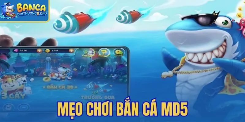 Mẹo Chơi Bắn Cá MD5
