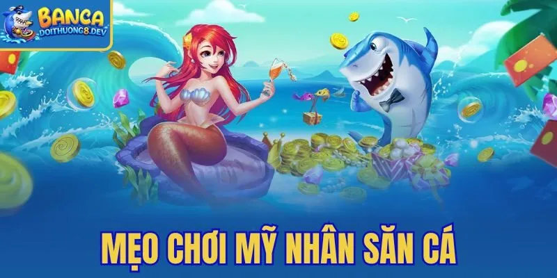 Mẹo Chơi Mỹ Nhân Săn Cá – Ưu Tiên Vật Phẩm Mở Hòm Ẩn