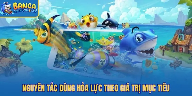 Cân cấp đạn theo điểm cá để giữ vốn bền hơn