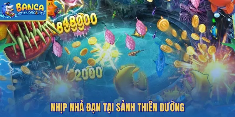 Nhịp bàn phản ánh độ lì mục tiêu và mức hao xu