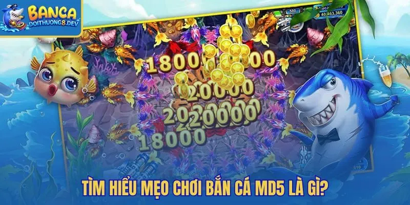 Mẹo chơi bắn cá MD5 theo hướng giữ vốn tỉnh táo