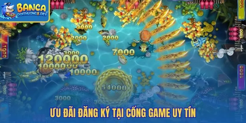 Ưu đãi đăng ký minh bạch cùng điều khoản rõ trên web